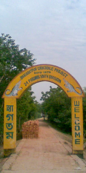 Bhagatpur-Crocodile-Project