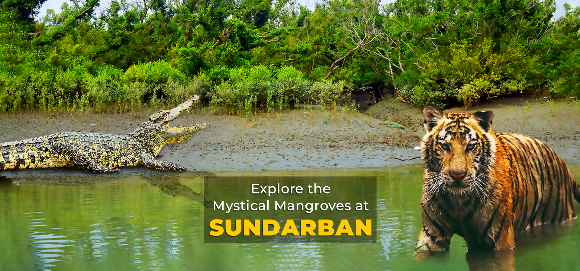 2. Sundarban